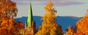 Preview wallpaper tower, architecture, trees, autumn, yellow, aerial view