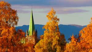 Preview wallpaper tower, architecture, trees, autumn, yellow, aerial view