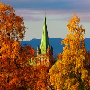 Preview wallpaper tower, architecture, trees, autumn, yellow, aerial view