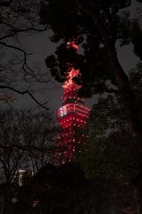 Preview wallpaper tower, backlight, night, branches, tokyo, japan