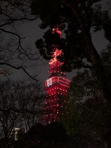 Preview wallpaper tower, backlight, night, branches, tokyo, japan