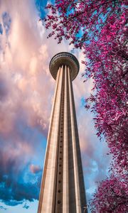 Preview wallpaper tower, branches, bottom view