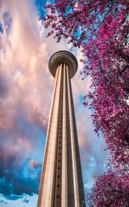 Preview wallpaper tower, branches, bottom view