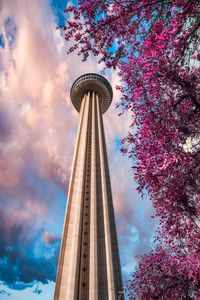 Preview wallpaper tower, branches, bottom view