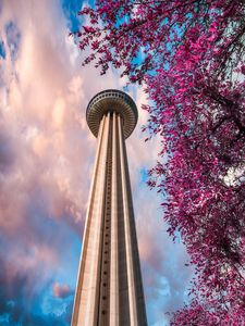 Preview wallpaper tower, branches, bottom view