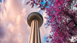 Preview wallpaper tower, branches, bottom view
