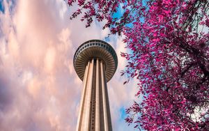 Preview wallpaper tower, branches, bottom view