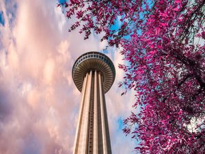 Preview wallpaper tower, branches, bottom view