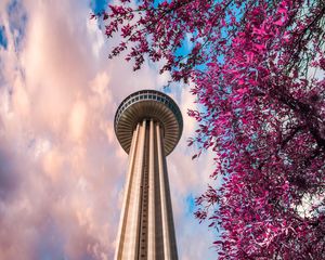 Preview wallpaper tower, branches, bottom view