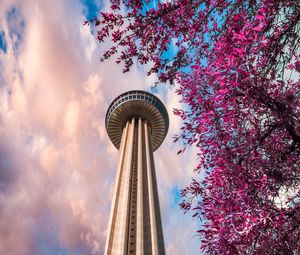 Preview wallpaper tower, branches, bottom view