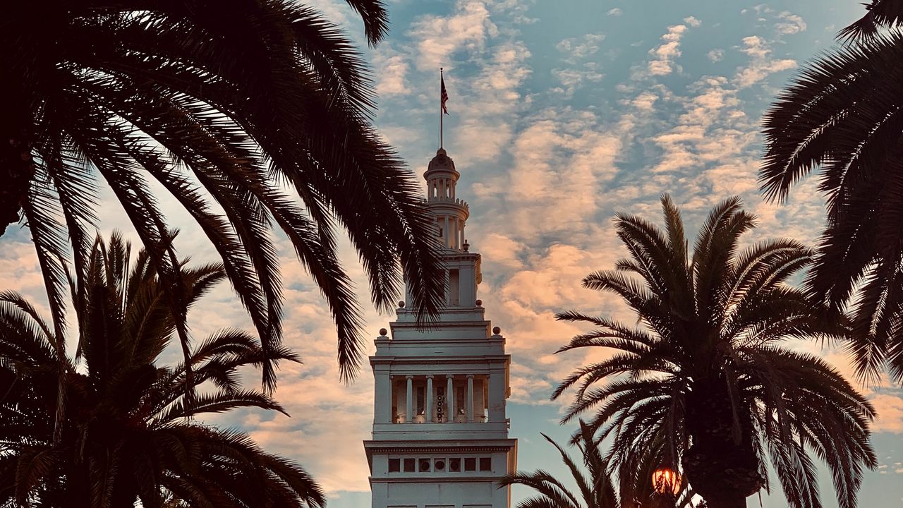 Wallpaper tower, building, architecture, palm trees