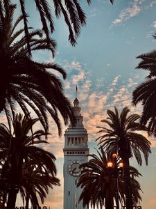 Preview wallpaper tower, building, architecture, palm trees
