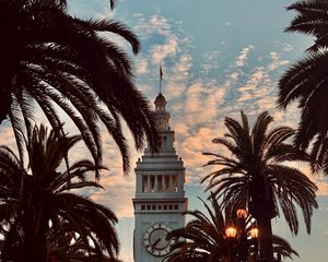 Preview wallpaper tower, building, architecture, palm trees