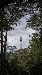 Preview wallpaper tower, building, architecture, trees, branches