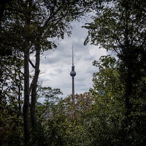 Preview wallpaper tower, building, architecture, trees, branches