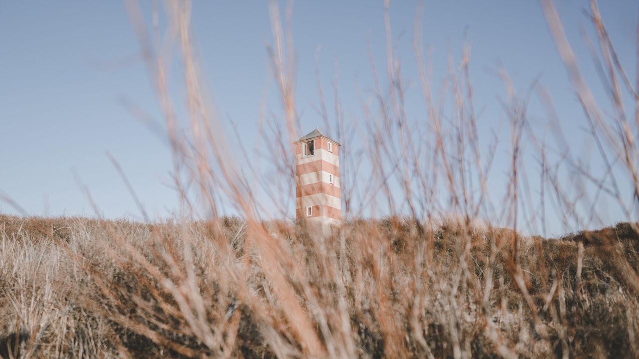 Wallpaper tower, building, bushes, grass, nature