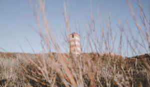 Preview wallpaper tower, building, bushes, grass, nature