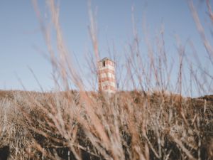 Preview wallpaper tower, building, bushes, grass, nature