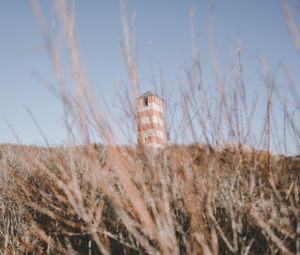 Preview wallpaper tower, building, bushes, grass, nature