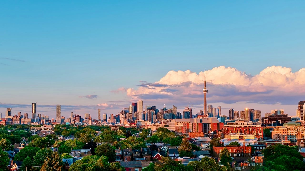 Wallpaper tower, building, city, bushes, sky