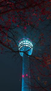 Preview wallpaper tower, building, light, branches, night