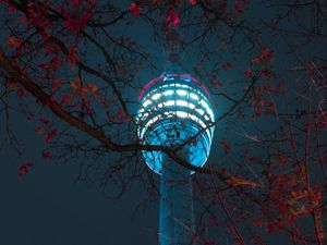 Preview wallpaper tower, building, light, branches, night
