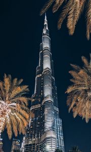 Preview wallpaper tower, building, skyscraper, architecture, palm trees