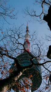 Preview wallpaper tower, building, tree, branches, bottom view