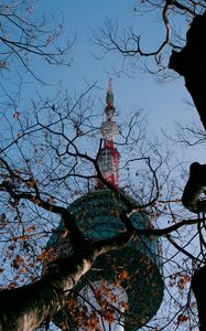 Preview wallpaper tower, building, tree, branches, bottom view