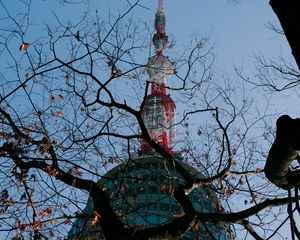 Preview wallpaper tower, building, tree, branches, bottom view