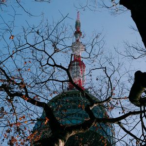 Preview wallpaper tower, building, tree, branches, bottom view