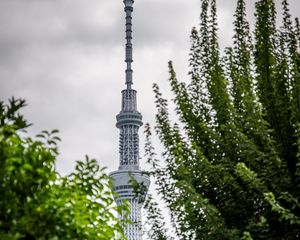 Preview wallpaper tower, building, trees, leaves