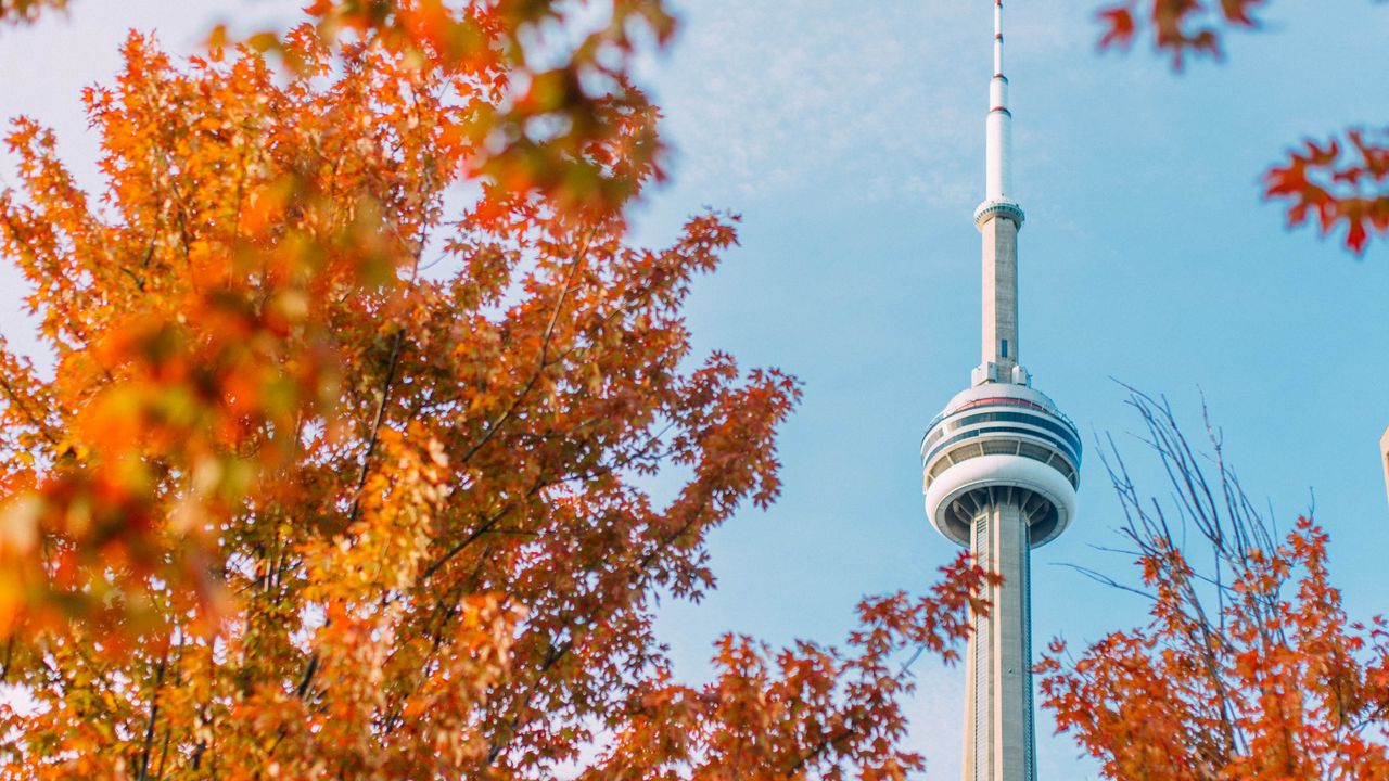 Wallpaper tower, building, trees, autumn