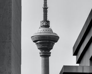 Preview wallpaper tower, buildings, architecture, black-and-white, bw