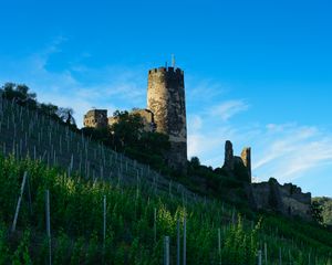 Preview wallpaper tower, castle, ruins, trees, landscape