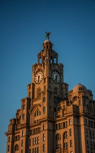 Preview wallpaper tower, clock, building, architecture