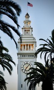 Preview wallpaper tower, clock, buildings, architecture, palm trees