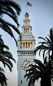 Preview wallpaper tower, clock, buildings, architecture, palm trees
