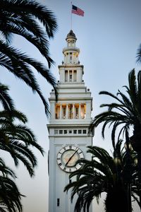 Preview wallpaper tower, clock, buildings, architecture, palm trees