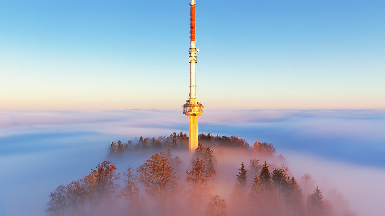 Wallpaper tower, fog, trees