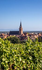 Preview wallpaper tower, houses, buildings, vineyard, trees, leaves