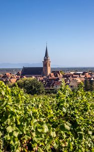 Preview wallpaper tower, houses, buildings, vineyard, trees, leaves