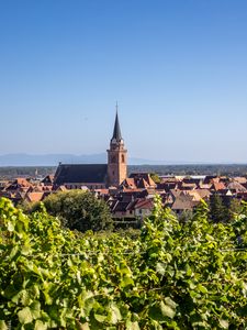 Preview wallpaper tower, houses, buildings, vineyard, trees, leaves