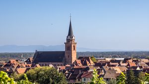 Preview wallpaper tower, houses, buildings, vineyard, trees, leaves