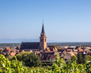 Preview wallpaper tower, houses, buildings, vineyard, trees, leaves