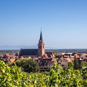 Preview wallpaper tower, houses, buildings, vineyard, trees, leaves