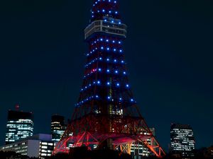 Preview wallpaper tower, night city, city lights, tokyo, japan, architecture