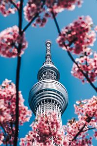 Preview wallpaper tower, sakura, flowers, architecture, building, spring