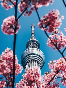 Preview wallpaper tower, sakura, flowers, architecture, building, spring