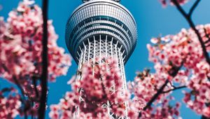 Preview wallpaper tower, sakura, flowers, architecture, building, spring
